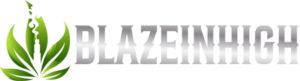 blazeinhigh.com